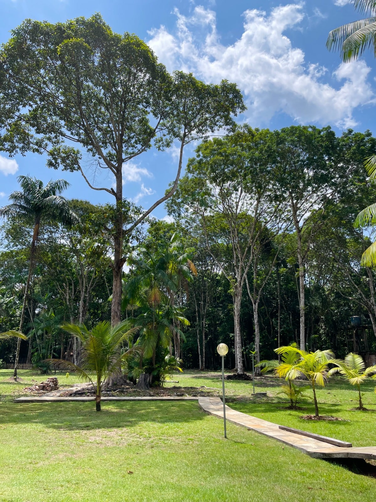 Casa à venda com 5 quartos, 20000m² - Foto 30