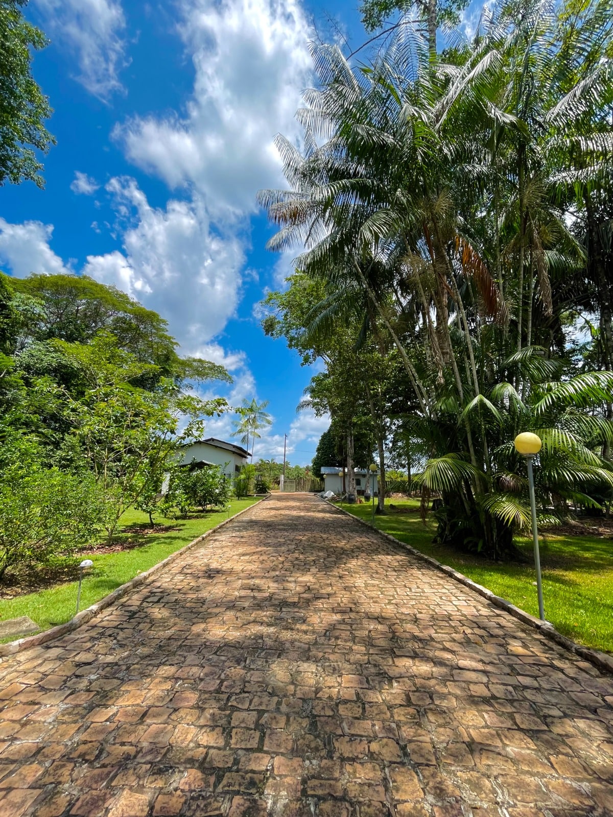 Casa à venda com 5 quartos, 20000m² - Foto 33