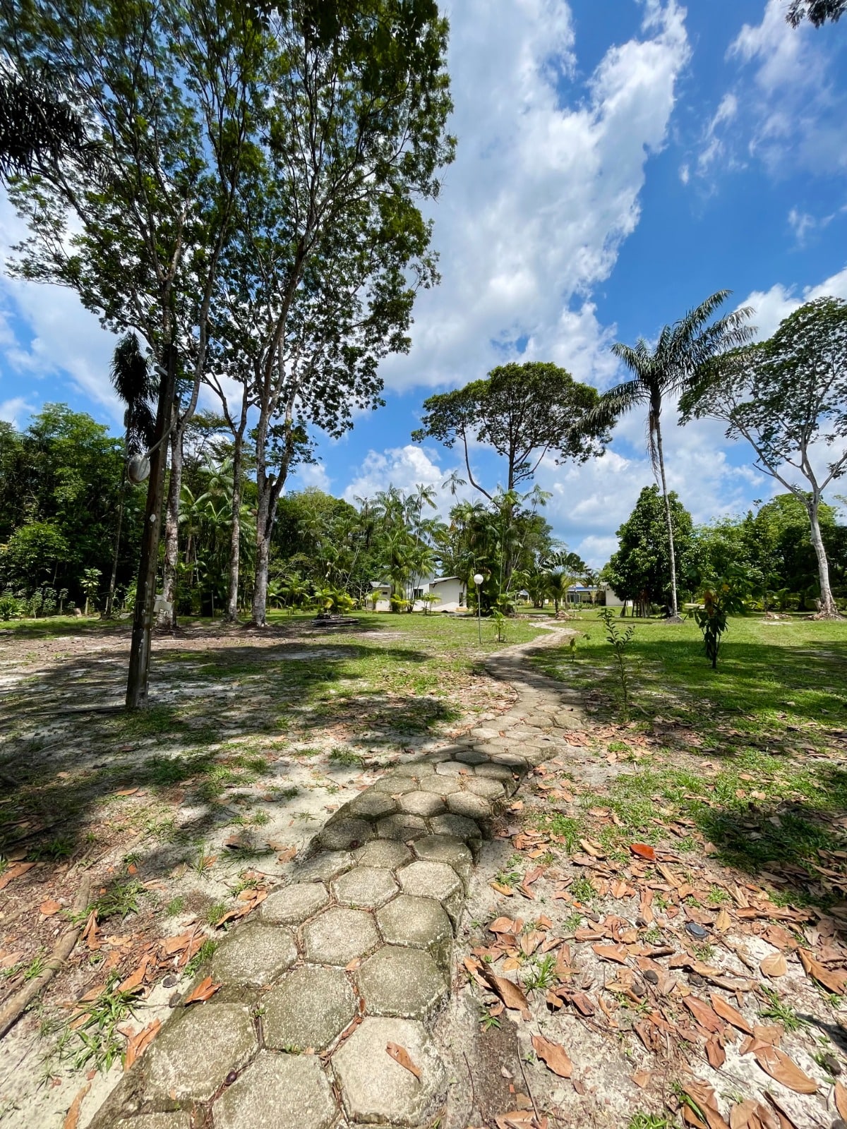 Casa à venda com 5 quartos, 20000m² - Foto 32
