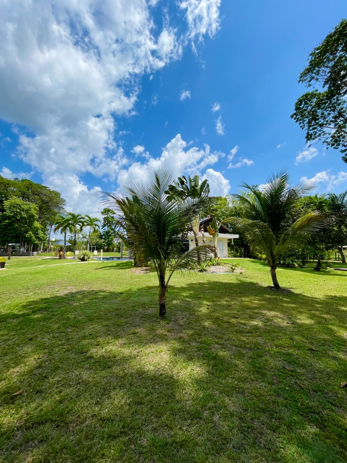 Casa à venda com 5 quartos, 20000m² - Foto 34