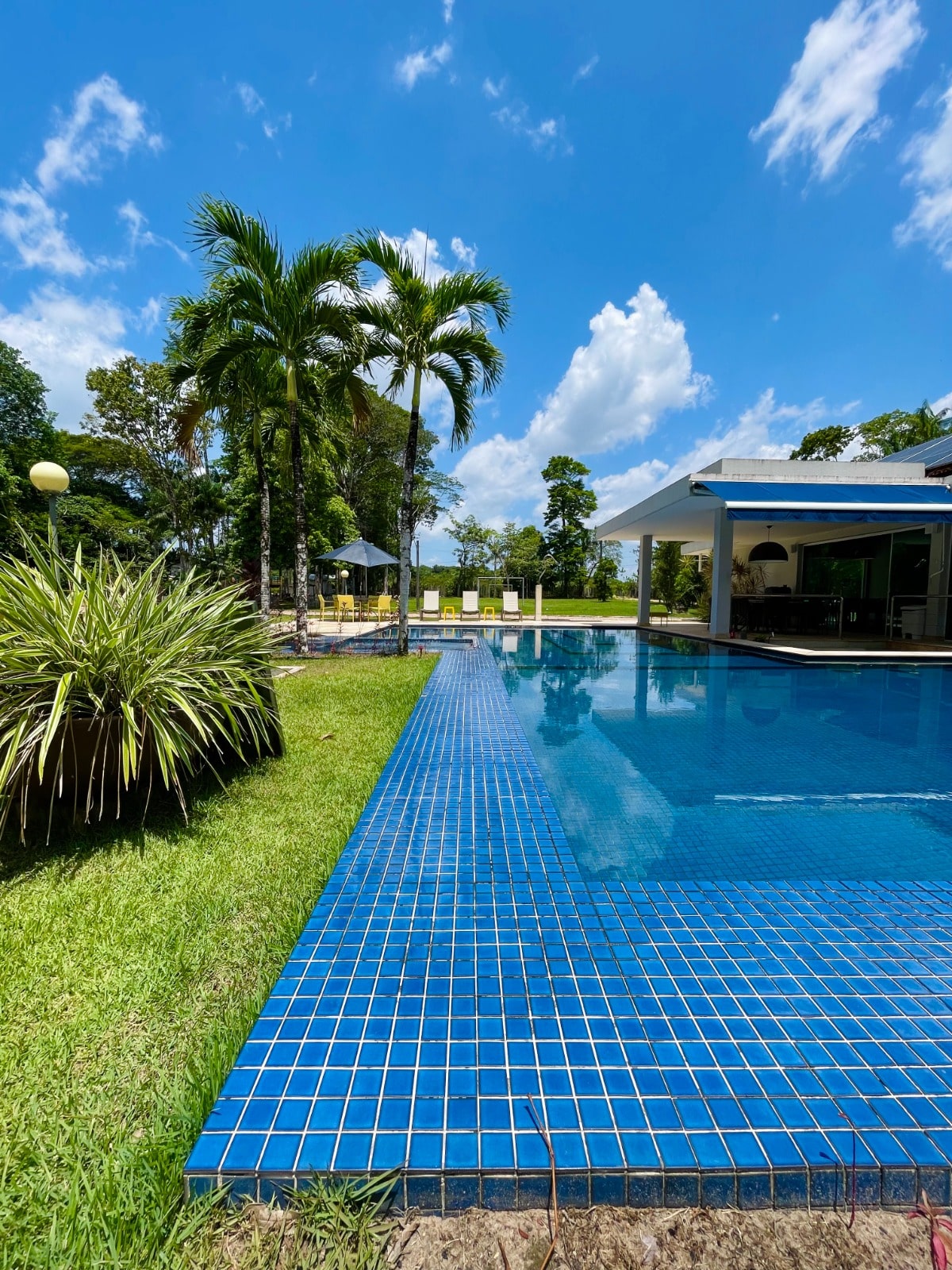 Casa à venda com 5 quartos, 20000m² - Foto 19