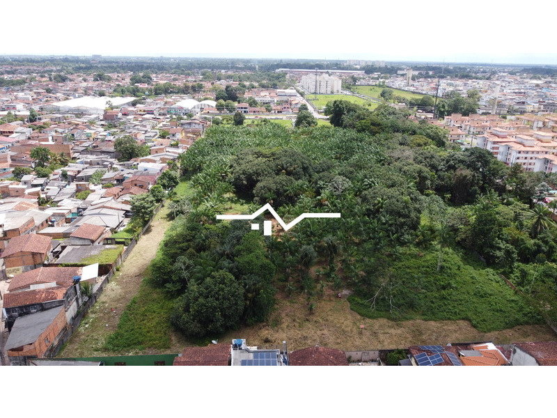 Terreno à venda e aluguel, 50000m² - Foto 4