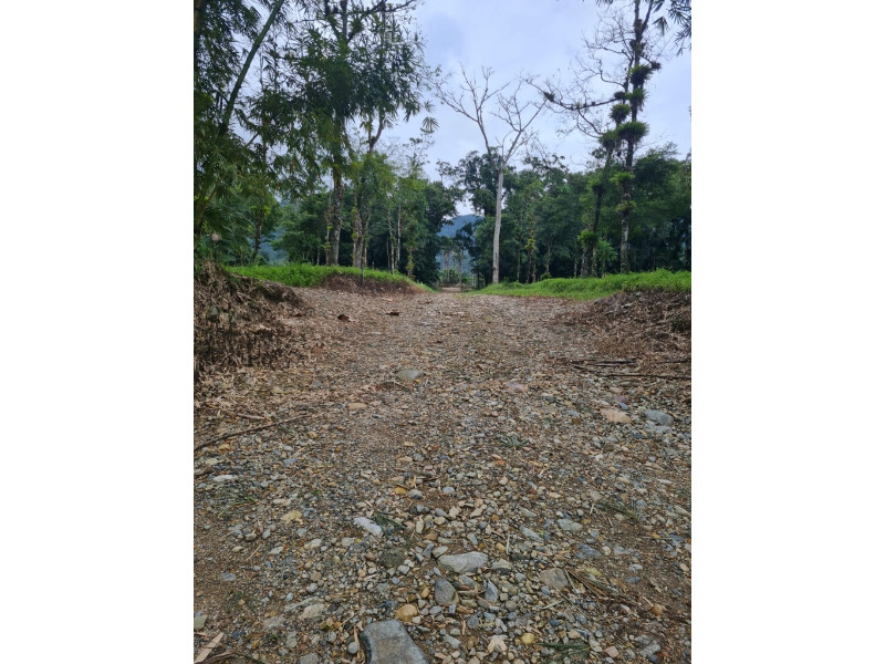 Fazenda/Sítios/Chácaras no bairro RIO BONITO, em Joinville | Eu Corretor