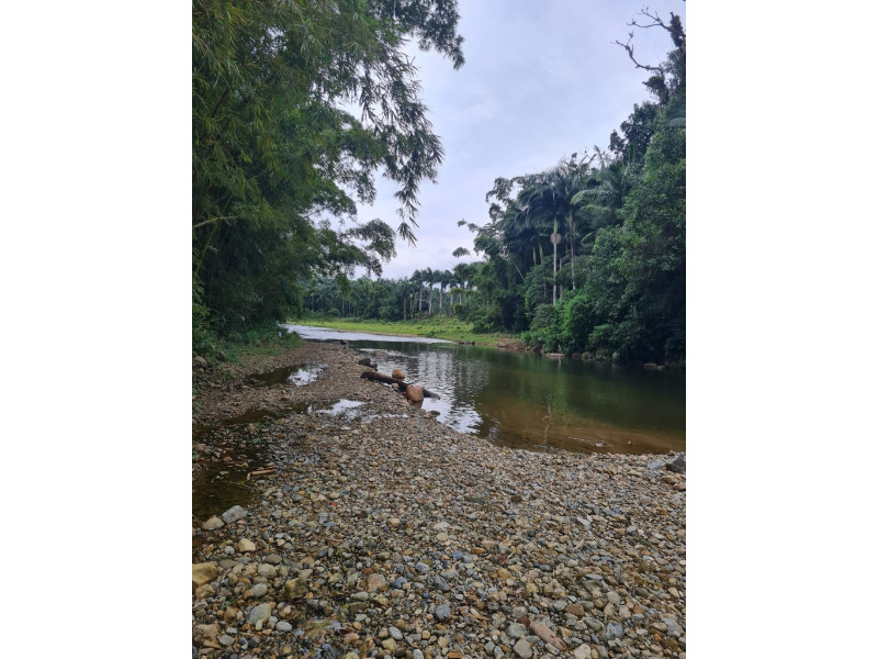 Fazenda/Sítios/Chácaras no bairro RIO BONITO, em Joinville | Eu Corretor