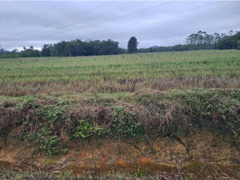 Lote/Terreno no bairro RIO BONITO, em Joinville | Eu Corretor