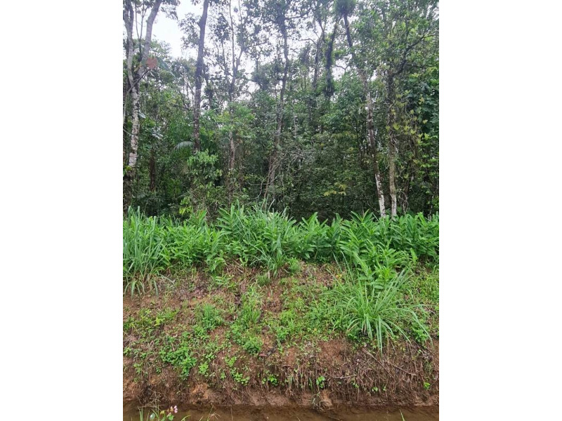 Lote/Terreno no bairro RIO BONITO, em Joinville | Eu Corretor