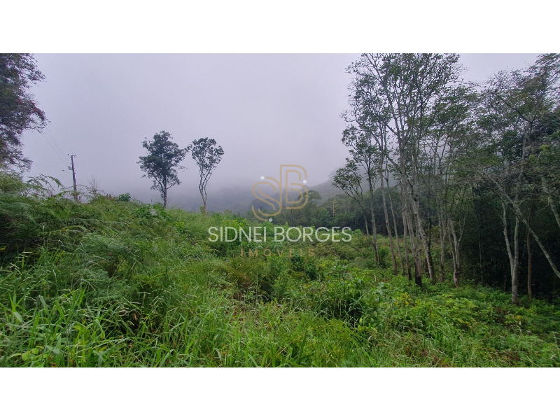 Fazenda à venda com 2 quartos, 100m² - Foto 4