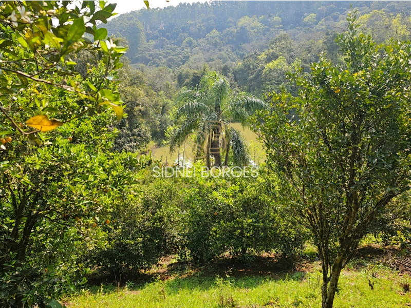 Fazenda à venda - Foto 7