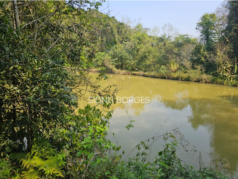 Fazenda à venda - Foto 8