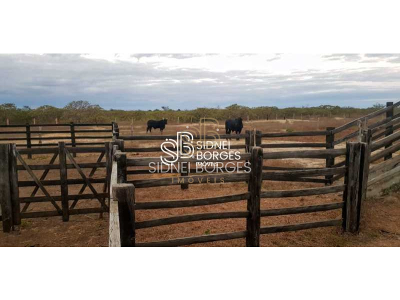 Fazenda à venda com 3 quartos, 150m² - Foto 2