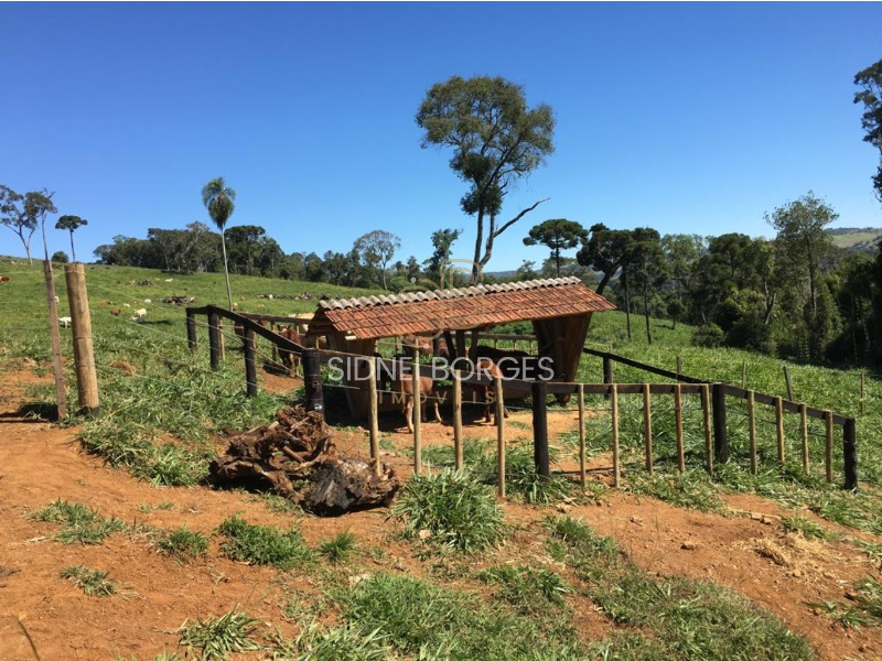 Fazenda à venda, 100m² - Foto 9