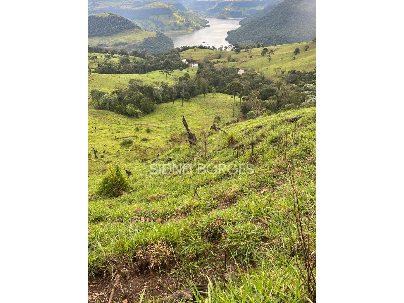 Fazenda à venda, 100m² - Foto 12