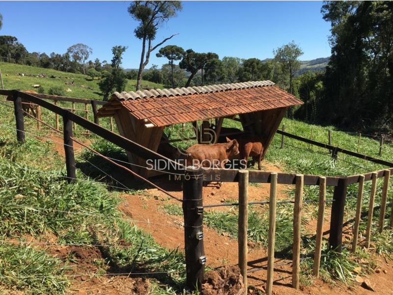 Fazenda à venda, 100m² - Foto 10