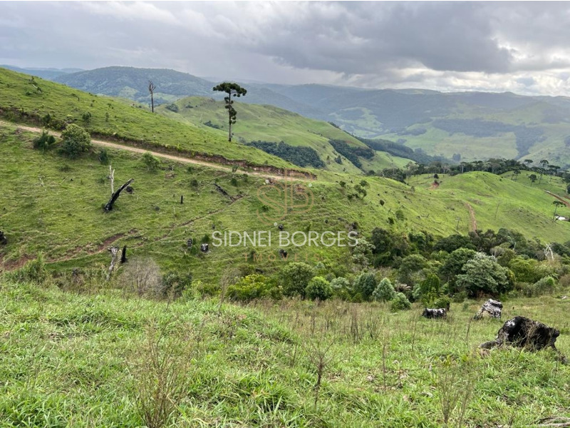 Fazenda à venda, 100m² - Foto 6