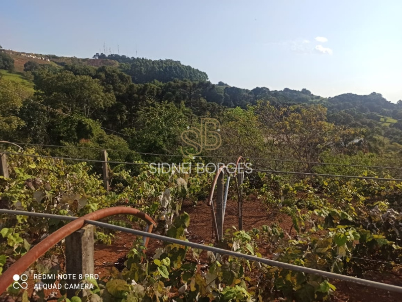 Fazenda à venda com 3 quartos, 180m² - Foto 3