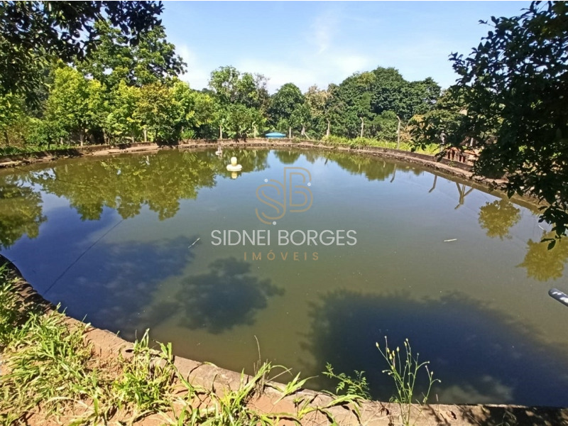 Fazenda à venda com 3 quartos, 180m² - Foto 4