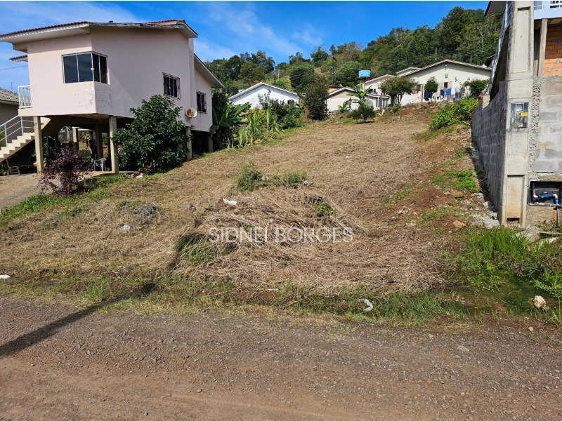 Terreno à venda - Foto 4