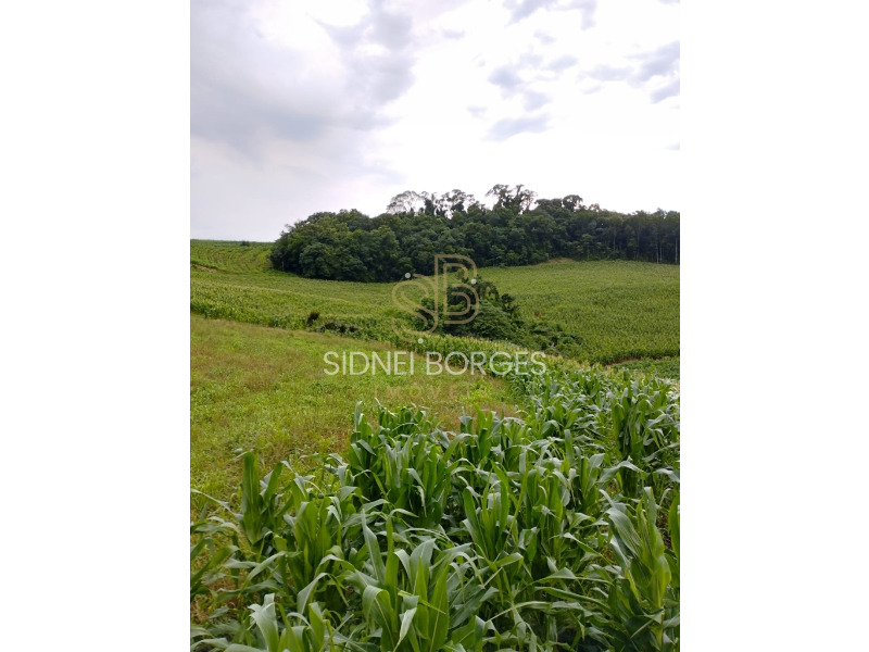 Fazenda à venda - Foto 1