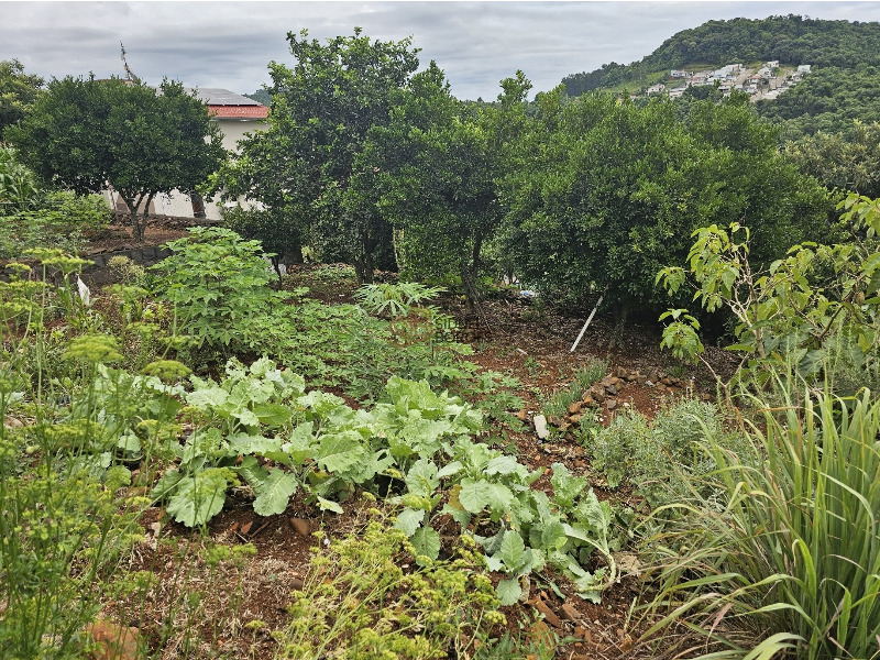 Casa à venda, 165m² - Foto 23