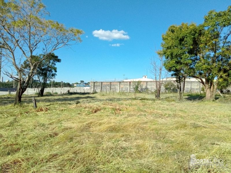 Terreno para Venda em COLÔNIA DONA LUIZA