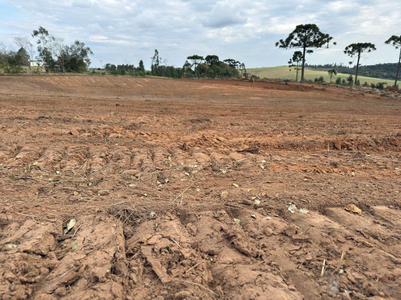 Terreno para Venda em PINHEIRINHO