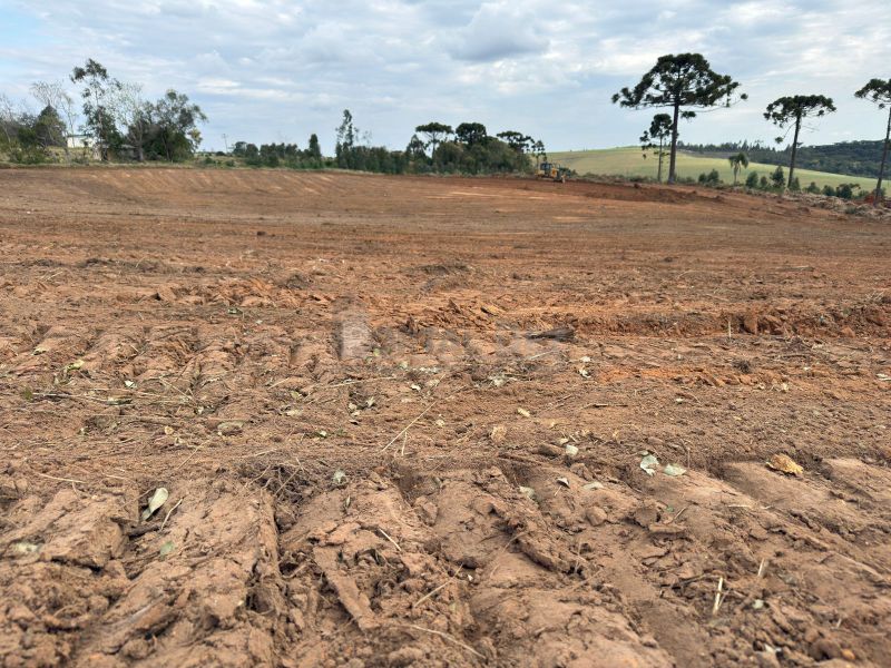 Terreno para Venda em PINHEIRINHO