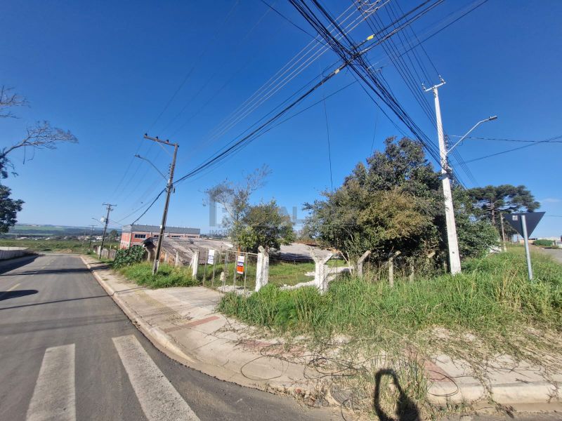 Barracão para Locação em Periquitos